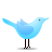 follow barrett dorko on twitter