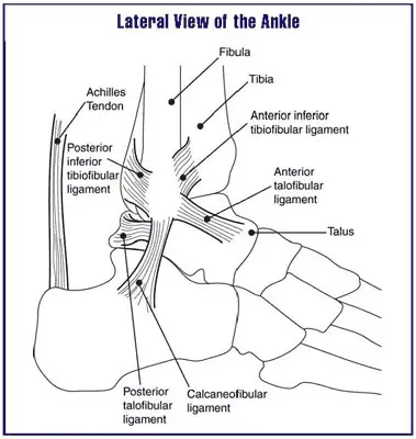 Ankle Orthopaedic Test: Talar tilt