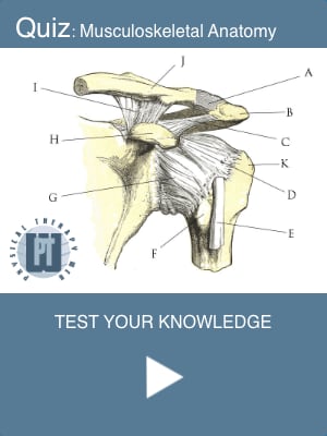 Yergason's Test - Orthopedic Examination Of The Shoulder - Physical ...